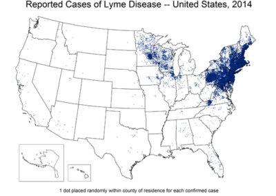 CDC - Reported cases of Lyme